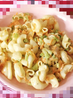 A picture of Macroni salad.
