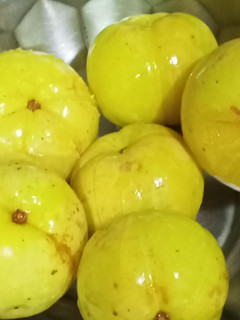 આથેલા આમળા (Athela Amla Recipe In Gujarati) રેસીપી મુખ્ય ફોટો