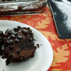A picture of Brownie.