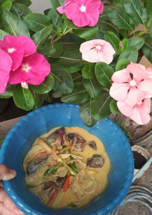 Foto resep Santan Pedas Ikan Tongkol