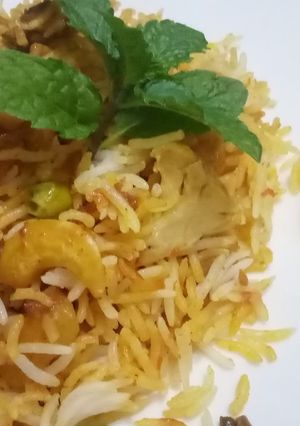 A picture of Veg Biryani.