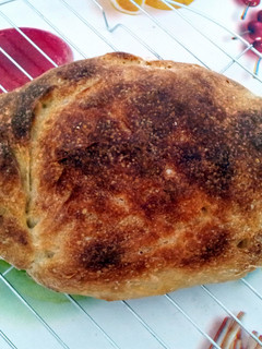 A picture of No knead Bread Recipe.