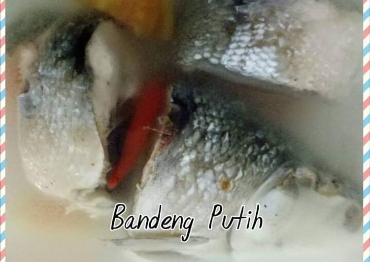 Bandeng Putih