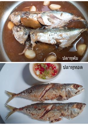 รูปของ ปลาทู Two Menu แบบง่ายๆ 😊