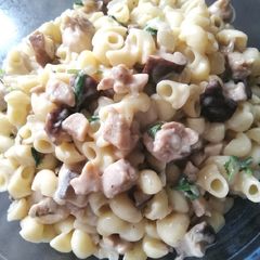 A picture of Pasta in White Sauce.