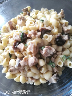 A picture of Pasta in White Sauce.