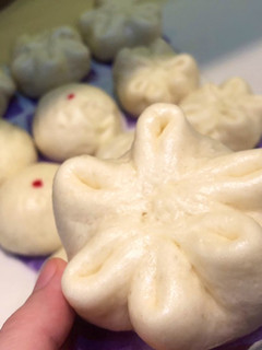 Foto resep Bakpao Kukus Lembut