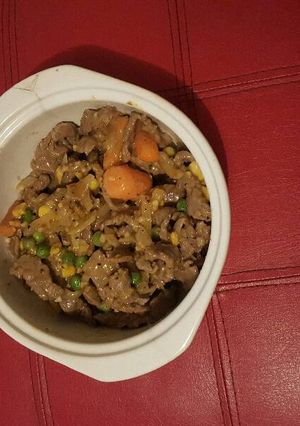 A picture of Quick beef strip mix.
