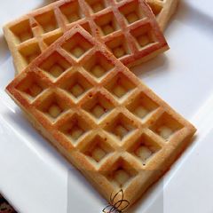 A picture of Waffles.