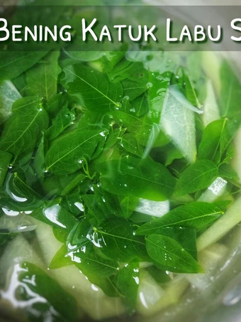 Langkah Gampang Membikin Resep  🌿 Sayur Bening Katuk Labu Siam yang Sempurna, Lezat