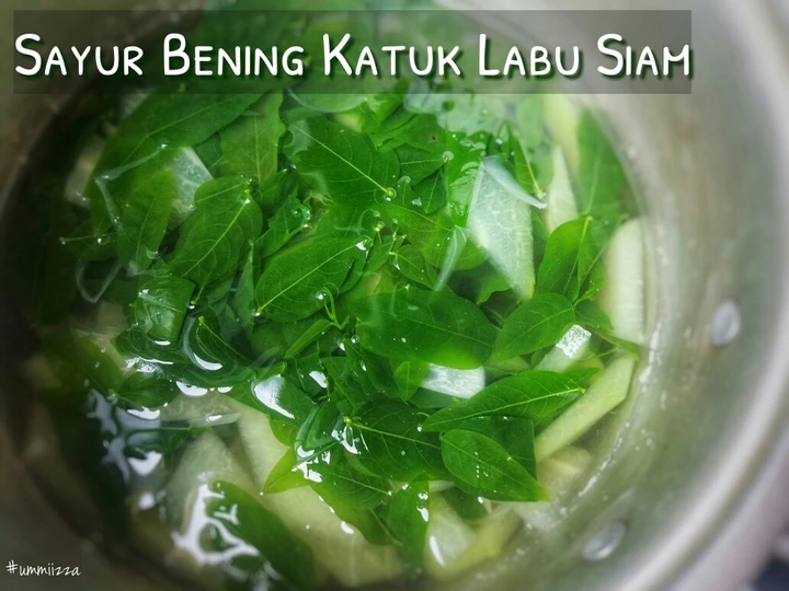 Langkah Gampang Membikin Resep  🌿 Sayur Bening Katuk Labu Siam yang Sempurna, Lezat