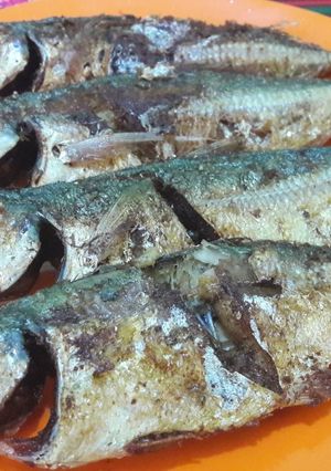 Foto resep Ikan Slayar Goreng