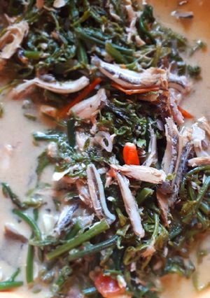 Foto resep Sayur Paku / Sayur Pakis Santan