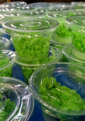 Foto resep Tape ketan aroma daun jambu air