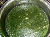 ملوخية خضره بشوربة اللحمة