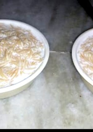 A picture of Vermicelli kheer.