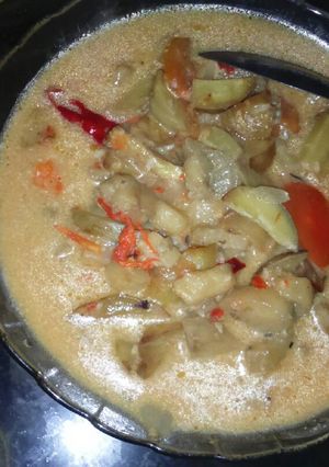 Foto resep Lodeh jengkol dan terong
