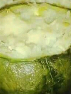 Una foto de Zapallitos rellenos bien fáciles para principiantes