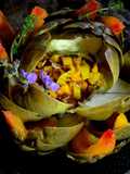 Artichaut fleur