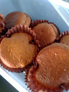 A picture of 12 Double Chocolate Chip Muffins.