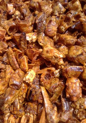 Hadin Fara ainihin hoton girkin