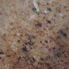 A picture of Gobhi paratha.