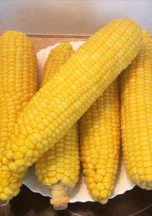 Nyár slágere a FŐTT KUKORICA 🌽 recept fotója