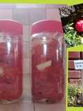 Tomates en conserva (enterrados por un año)