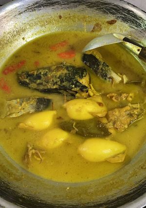 Foto resep Gulai cumi isi tahu telur & patin