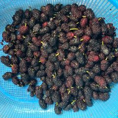 A picture of Blackberries Jam/compote.
