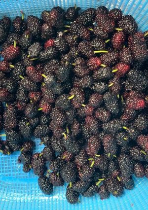 A picture of Blackberries Jam/compote.