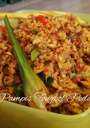 Foto resep Pampis Tongkol Pedas yang Bikin Kalap Makan