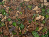 Seitán Mongoliano
