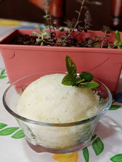 Una foto de Sorbete de mojito