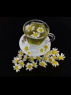 عکسی از دستور دمنوش بابونه