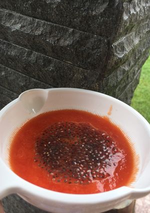Foto resep Mpasi menu tunggal (pure pepaya)