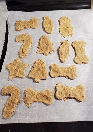 A picture of Tuna Dog Biscuits.
