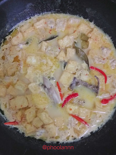 Foto resep Lodeh tahu tempe ayam