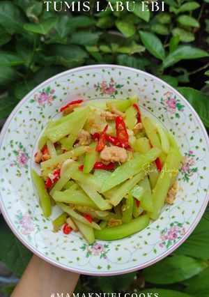 Foto resep Tumis Labu Ebi