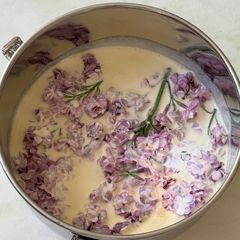 A picture of Lilac Milk Tea.