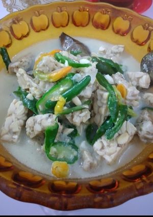 Foto resep Jangan ndeso tempe lombok ijo kuah santan
