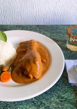 A picture of Mole - Oaxacan Stew.