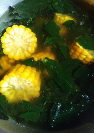 Foto resep Sayur bening katuk