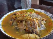 Gambar brekecek ikan laut