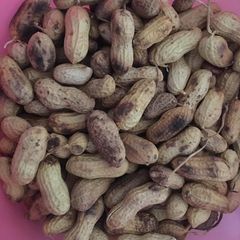 A picture of Roasted peanuts.