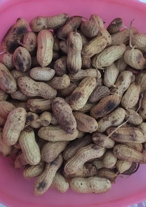 A picture of Roasted peanuts.