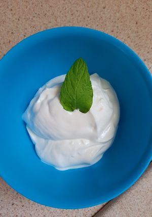 Φωτογραφία της συνταγής Γιαούρτι σπιτικό