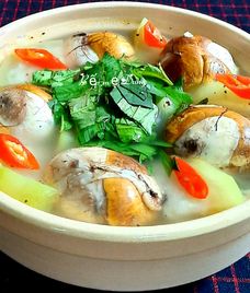 hột vịt lộn um bầu