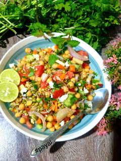 मेडिटेरेनियन प्रोटीन सलाद(mediterranean protein salad recipe in hundi) रेसिपी मुख्य फोटो