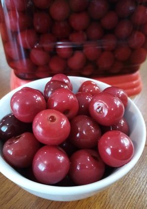 عکسی از دستور ترشی آلبالو ارگانیک
